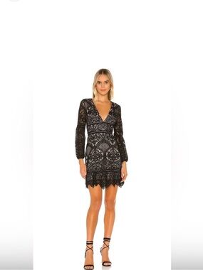 NWT- BB DAKOTA- Size 6- RSVP Black Lace Long Sleeve Deep V Dress